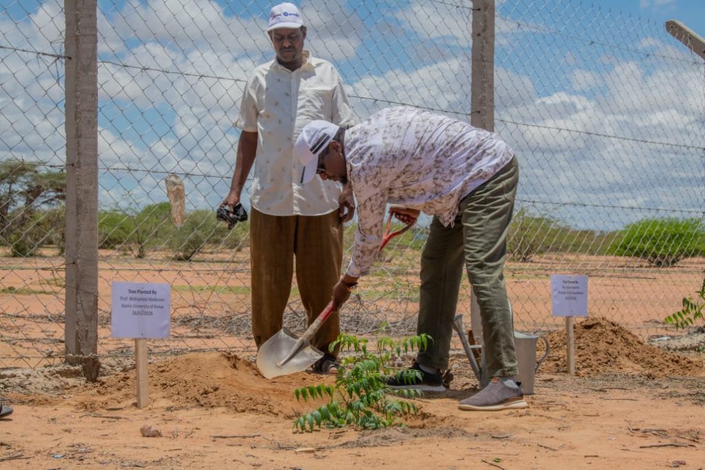Prof. Mohamed Abdinoor Dahir planting a tree in Dadaab refugee complex as part of environmental and resilience initiatives